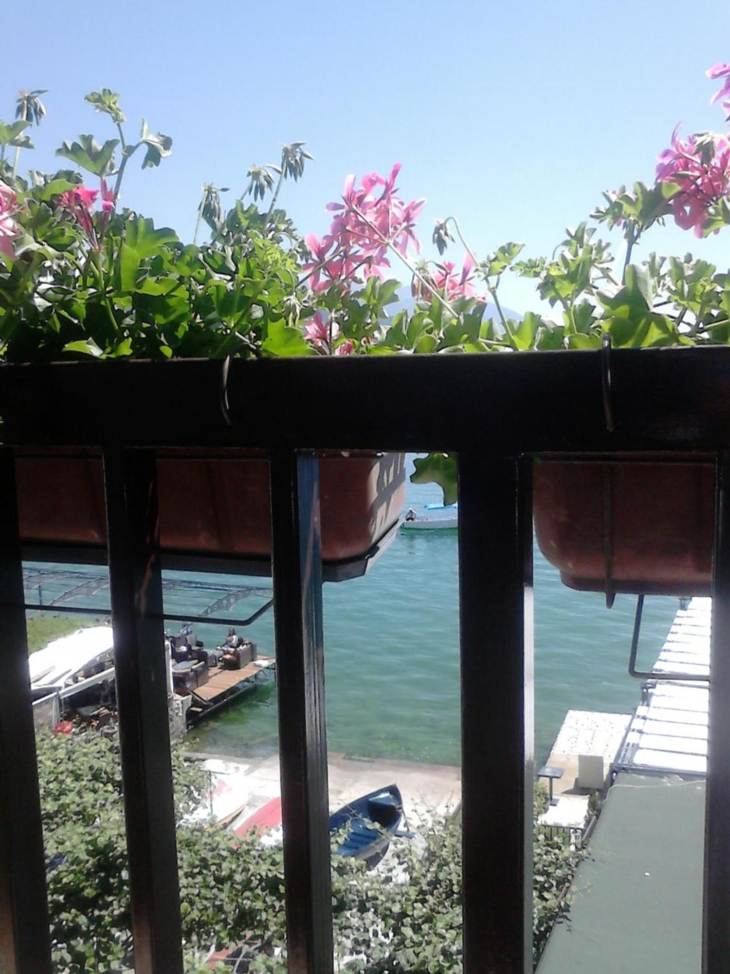Orhidea House Hotel Ohrid Luaran gambar
